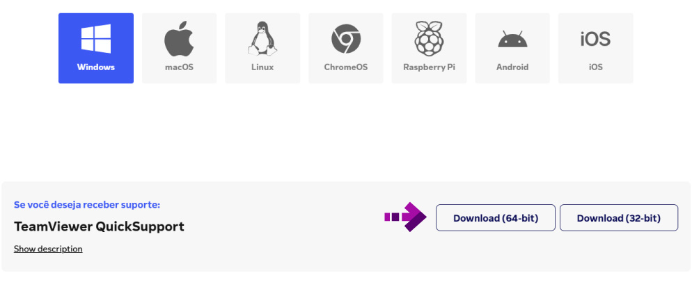 Imagem ilustrando o download do programa no Windows