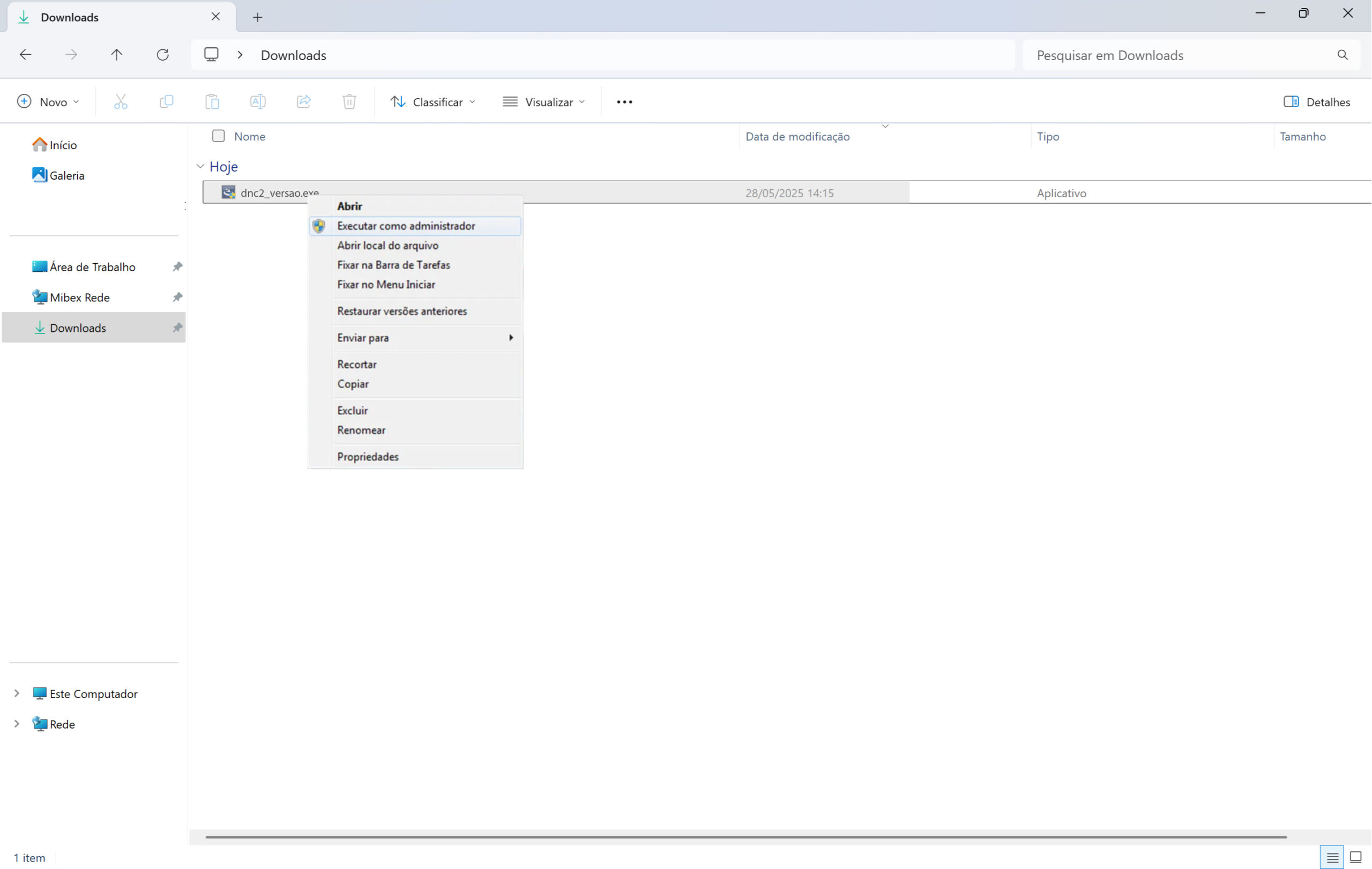 Página de download do DinoCapture