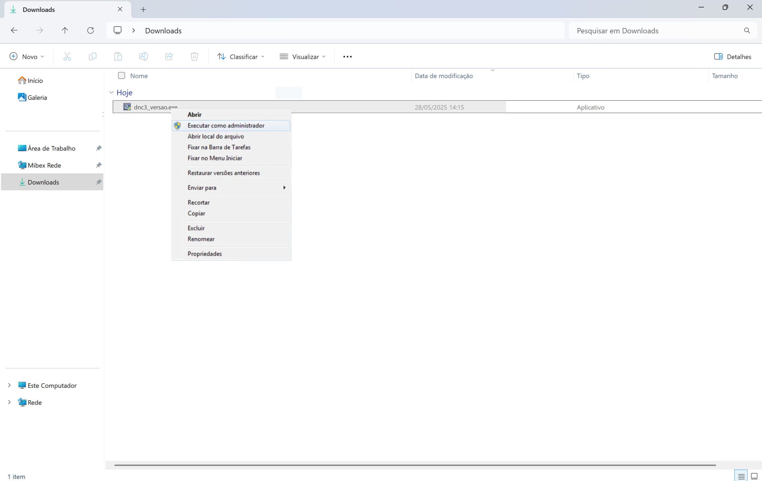 Página de download do DinoCapture